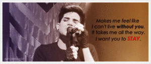 Adam Lambert GIF. Artiesten Gifs Adam lambert 