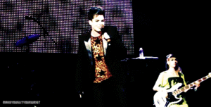 Adam Lambert GIF. Artiesten Gifs Adam lambert 2009 