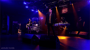 Adam Lambert GIF. Artiesten Gifs Adam lambert 