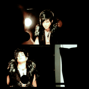 Adam Lambert GIF. Muziek Artiesten Gifs Adam lambert 