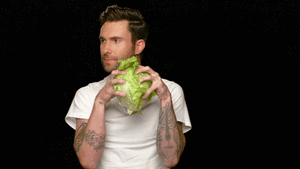 Maroon 5 GIF. Artiesten Gifs Adam levine Maroon 5 Bloedig Muziekvideo Animals 