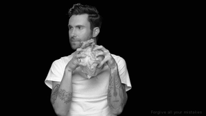 Adam Levine GIF. Artiesten Gifs Adam levine The voice 