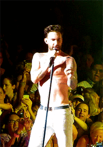 Adam Levine GIF. Artiesten Gifs Adam levine Poesje 