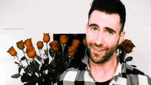 Adam Levine GIF. Artiesten Gifs Adam levine Niet in kaart gebracht 
