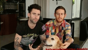Maroon 5 GIF. Artiesten Gifs Adam levine Maroon 5 