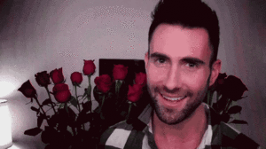 Maroon 5 GIF. Artiesten Gifs Adam levine Maroon 5 