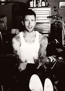 Maroon 5 GIF. Artiesten Gifs Adam levine Maroon 5 