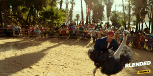 Adam Sandler GIF. Film Gifs Filmsterren Adam sandler Drew barrymore Cinemax Blended 