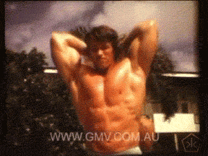 Arnold Schwarzenegger GIF. Kat Gifs Filmsterren Arnold schwarzenegger Uitwerken 