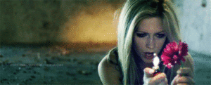 Avril Lavigne GIF. Artiesten Avril lavigne Proost Gifs 