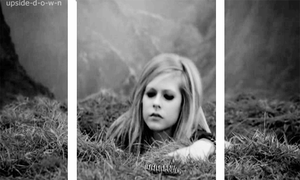 Avril Lavigne GIF. Artiesten Avril lavigne Gifs Wywh 