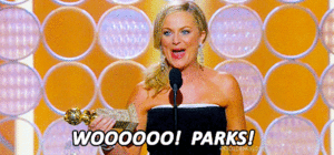 Amy Poehler GIF. Tv Gifs Filmsterren Amy poehler Aziz ansari Parks and recreation 