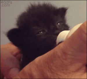 Baby GIF. Liefde Baby Isabella Gifs  Boom Ik houd van u Geluk Spatten Bad tijd Myphotos 