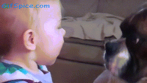 Baby GIF. Puppy Baby Kisses Gifs Geven Aww Schattigste 