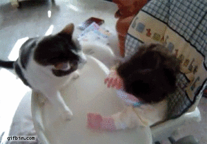 Baby GIF. Baby Gifs Dans 