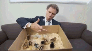 Baby GIF. Liefde Schattig Baby Wit Zwart Kus Gifs Filmsterren Ryan gosling  U Mij Zwart en wit Koppels Bby 