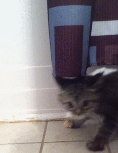 Baby GIF. Baby Gifs Gelukkig Bubbels 
