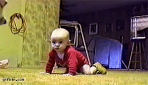 Baby GIF. Dieren Baby Kinderen Voedsel Gifs Hond Likken Bruto Ge&iuml;nteresseerd 