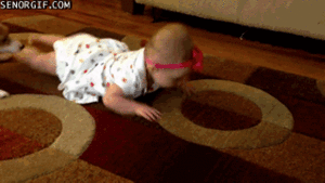 Baby GIF. Grappig Baby Gifs Wtf Haha Zuigeling Grappig s Lol s Haha s Wtf s De baby s 
