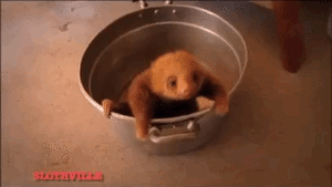 Baby GIF. Liefde Baby Gifs Gif Perfect &eacute;&eacute;n richting Harry stijlen 1d &eacute;&eacute 