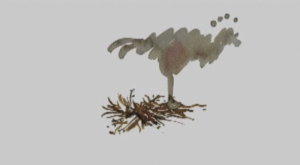 Baby GIF. Baby Gifs Gelukkige verjaardag Freecocaine Ava gardner 