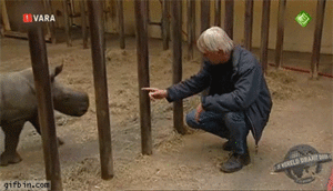 Baby GIF. Huilen Baby Voedsel Gifs Verdrietig Het eten Ew Walging 