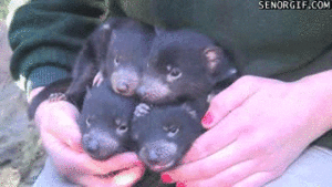 Baby GIF. Tien Baby Tv Gifs Heet Arts die David tennant Tiende arts Dw Tennant Hij is zo schatti 