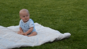 Honden GIF. Dieren Liefde Schattig Baby Gifs Hond Likken 