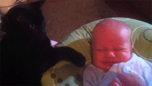 Baby GIF. Tweeling Baby Gifs Gevecht Aanbiddelijk Schattig 2 Fopspeen 