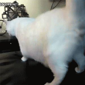 Baby GIF. Baby Gifs Cheezburger Hert Dag Schattigste Brandweerman Het redden 