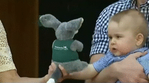 Baby GIF. Dieren Olifant Baby Gifs Geschopt Haters gaan haten Kalf 