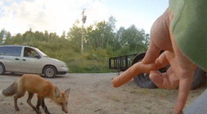 Baby GIF. Meisje Baby Robot Gifs Met Bogen 