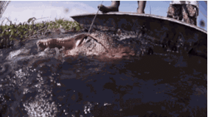 Baby GIF. Baby Gifs Gelukkige verjaardag Freecocaine Ava gardner 