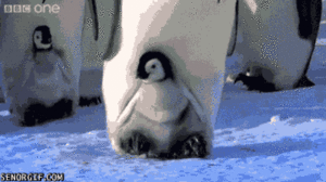 Baby GIF. Baby Gifs Wtf Trap Mijn planeet heeft me nodig Ik moet gaan 