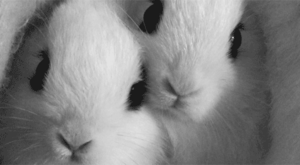 Baby GIF. Bioscoop Baby Thee Gifs Jacksgap Finn harries 