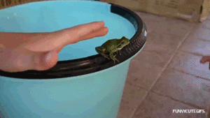 Baby GIF. Bad Dieren Olifant Baby Gifs 