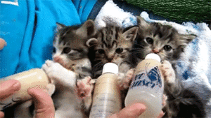 Baby GIF. Baby Gifs Parken en rec 