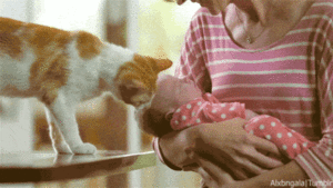 Baby GIF. Vallen Schattig Baby Gifs Hadouken 