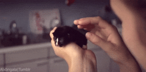 Olifant GIF. Dieren Olifant Baby Gifs Wakker 