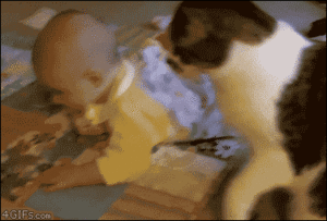 Baby GIF. Baby Gifs Dans 