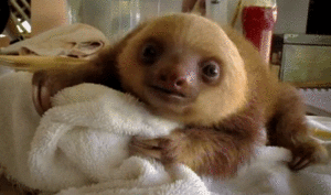 Baby GIF. Baby Star trek Gifs  Zoet Star trek into darkness Jim kirk Captain kirk James kirk Idst 