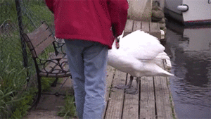 Baby GIF. Baby Gifs Mooi Kim kardashian Kardashian 