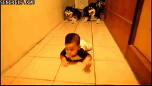 Baby GIF. Dieren Kunst Leeuwen Disney Schattig Baby Gifs Vrij Mooi Aanbiddelijk Hypnotisch Lion 