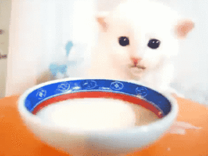 Baby GIF. Baby Star trek Gifs  Zoet Star trek into darkness Jim kirk Captain kirk James kirk Idst 
