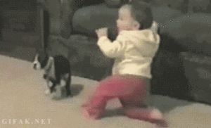 Baby GIF. Baby Geld Gifs Betaaldag 