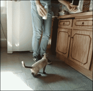 Baby GIF. Baby Gifs Gelukkige verjaardag Freecocaine Ava gardner 