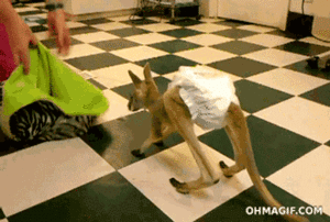 Baby GIF. Baby Gifs Vrolijkheid Brittany pierce 