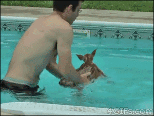 Baby GIF. Baby Internet Gifs Onthouden Het nemen 