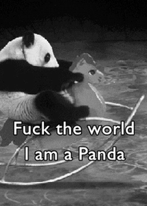 Baby GIF. Dieren Olifant Baby Gifs 
