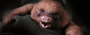 Baby GIF. Baby Star trek Gifs  Zoet Star trek into darkness Jim kirk Captain kirk James kirk Idst 